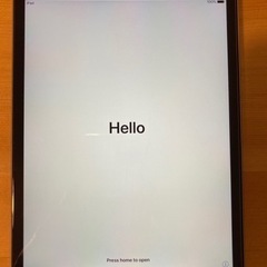 iPad mini3 ケース付き