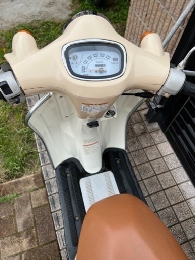スズキ ヴェルデ 決定 【公式通販】
