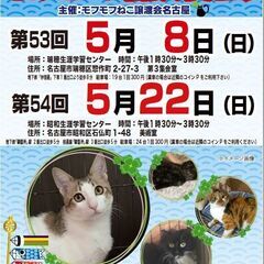 5/22(日)　猫の譲渡会　in　名古屋市昭和生涯学習センター