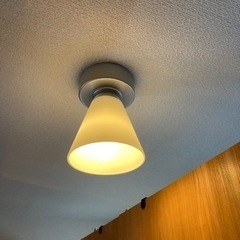 LED 優しい電球色(10カ月使用)