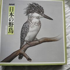 NHKの日本の野鳥　　森の四季