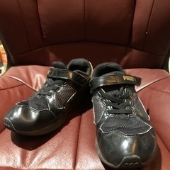 プーマ PUMA★スピードモンスターV3 190266-03★シューズ