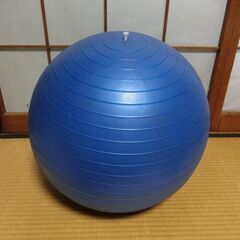 バランスボール：46cm