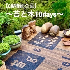 【GW特別企画】〜苔と木10days〜