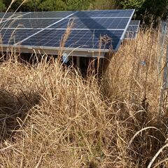 🍀太陽光発電所・草刈り・除草剤散布・樹木伐採　承ります。太陽光発...