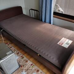 ニトリ製 電動ベッド(シングルサイズ)