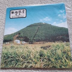 奥田民生「股旅」LPレコード