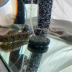 水槽フルセット　９０センチ