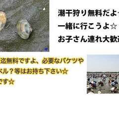 5．3（水、祝）横浜の海の公園にて皆で潮干狩りにいきませんか？ピ...