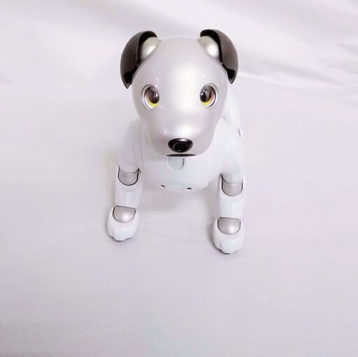 美品【アクセサリーセット付】SONY ソニー aibo アイボ ERS-1000 エンタテインメント ロボット 犬 バーチャル ペット アイボリーホワイト 白