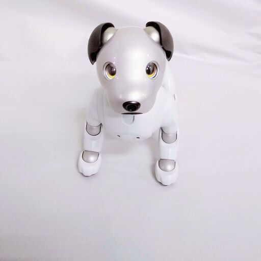 SONY エンタテイメントロボット AIBO ERS-1000 www.krzysztofbialy.com