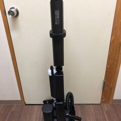 【2021年製】 掃除機　IRIS OHYAMA　アイリスオーヤマ　極細軽量スティッククリーナー　SBD-F2P-P　コードレスタイプ