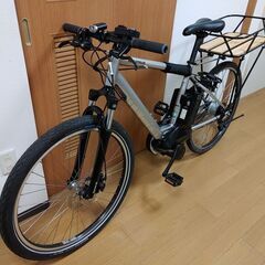 ブリジストン リアルストリーム KCL-1R ガモー キングキャリア