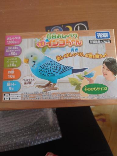 毎日おしゃべり天才インコちゃん