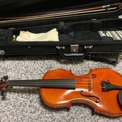 バイオリンを一緒に練習したり語り合ったりする方を探してます。