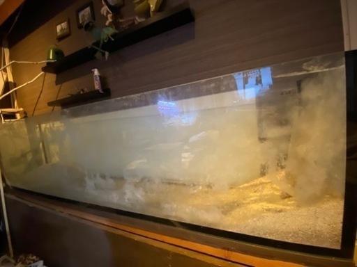 商談中   180cm水槽
