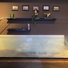 商談中 180cm水槽