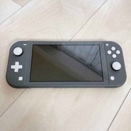 Nintendo Switch Lite本体グレー microSD 64GB＆携帯ポーチ付