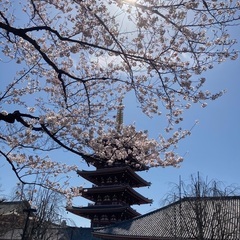 神社.仏閣.御城.小堀遠州庭園趣味友作り✨