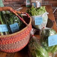 地元農家さんの有機新鮮野菜市場