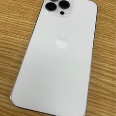 iPhone13 ProMax 1TB シルバー SIMフリー ★care付き