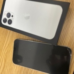 iPhone13 ProMax 1TB シルバー SIMフリー ★care付き