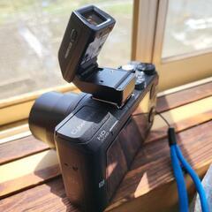 SONY HX60Vと電子ファインダー 24-720mm
