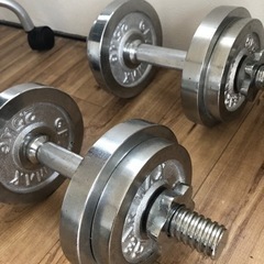 10kg ダンベル×2