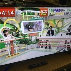 ■配達可■4K液晶テレビ ティーズ(ドンキホーテ) 50V型 H...