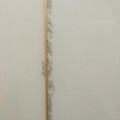 レイジーボーイスキル　サーフボードケース付き　セット　サーフィン