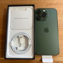 ☆新品☆ iPhone13pro / 256GB / アルパイングリーン