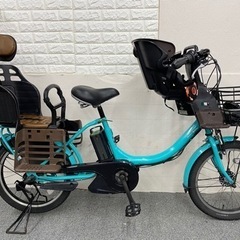 81866551_3