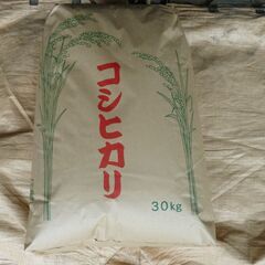　 令和3年産コシヒカリ玄米３０キロ