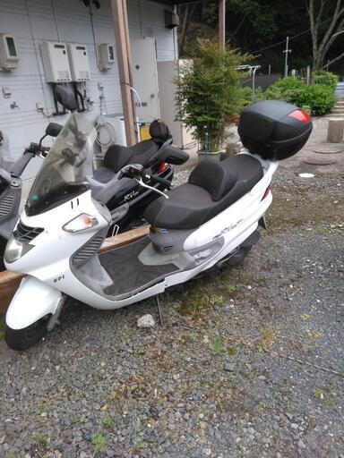 期間限定価格！！SIM  RV125EFI 期間限定価格！！SIM RV125EFI SYM RV125のYahoo!オークション(旧