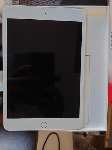 iPad mini 5 Cellular 256GB シルバー