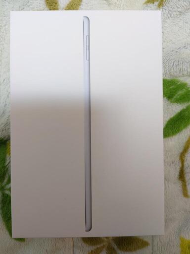 IPad Mini 5 WiFi + Cellular 256GB シルバー 【公式通販】