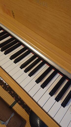 電子ピアノ YAMAHA ARIUS
