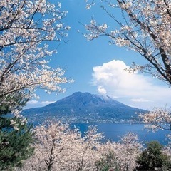 2022.5/4〜5/6【鹿児島•宮崎】観光仲間募集！