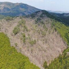 【成約済】山林物件088　兵庫県朝来市生野町
