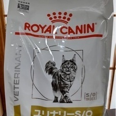 ロイヤルカナン　猫用ユリナリーs/o オルファクトリー　4kg