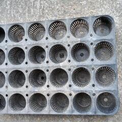 空中ポット 24穴100枚