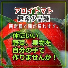 野菜の苗（種の取れる固定品種）をお譲りします。200円～500円...