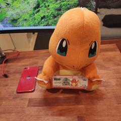 ヒトカゲ　ポケットモンスター