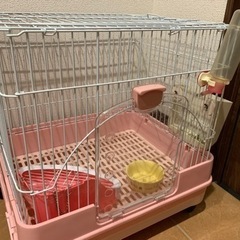 うさぎの飼育セット（ゲージ）&小物備品付き✨