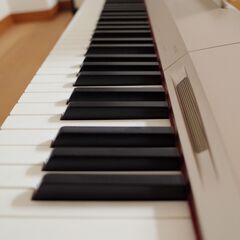 CASIO（カシオ） 電子ピアノ Privia（プリブィア）PX-160 シャンパン 