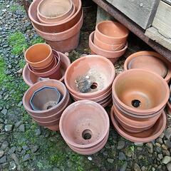 陶器の植木鉢  至急