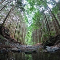 【夏休みの遊び宿で！】流しそうめん山の中の静かなキャンプコテージお貸しします！ - 短期賃貸