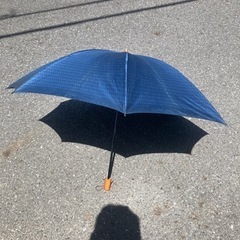 折りたたみ傘　マリオバレンチノ