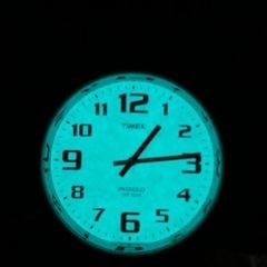 【電池交換&動作確認済】 TIMEX INDIGLO Watch...