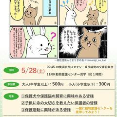 小さな命を守りたい!保護犬・保護猫見学ツアー(横浜市)
